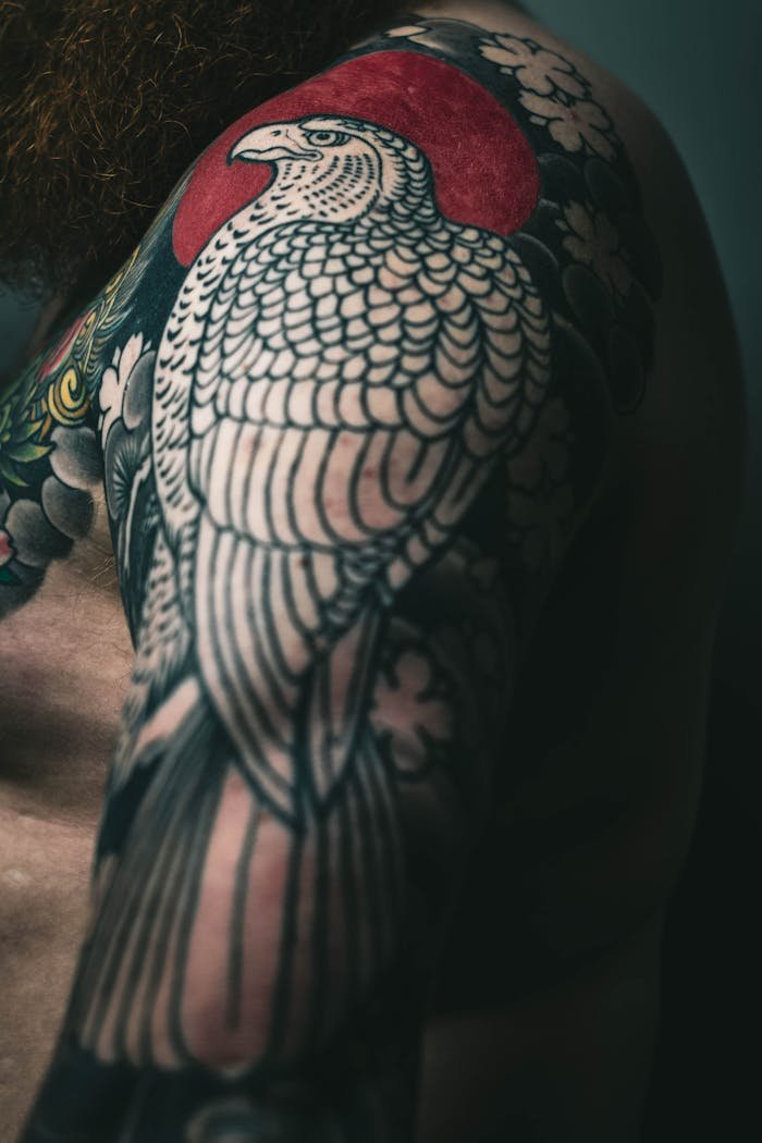 Close-up of a detailed bird tattoo on a male arm with a vibrant red sun.